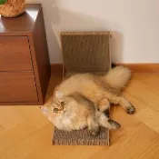 【MIAO FAIRY 喵仙兒】L型直角貓抓板(貓玩具)
