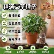 【現貨🌿艾草種子】隔日達 香艾 可驅蚊 陽台盆栽 可食用 藥用 艾蒿 庭院種植 四季可種植 易種好活 耐寒