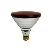 【Philips 飛利浦】PAR38E 150W E27 紅外線燈泡 溫熱燈泡 加熱燈泡 熱敷 保溫 歐洲製