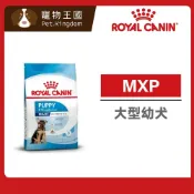 (店+)【ROYAL 法國皇家】MXP大型幼犬專用飼料 4kg / 10kg / 15kg ｜狗乾糧 狗飼料 幼犬飼料 皇家狗飼料