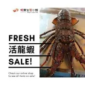 【蝦鮮生蟹小姐】【活體】鮮活龍蝦 200克上
