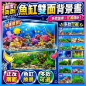 台灣免運出貨【魚缸雙面背景畫】大小魚缸尺寸都有|魚缸造景裝飾|水族造景|魚缸背景紙畫|高清圖壁畫|水族箱背景圖|背景圖