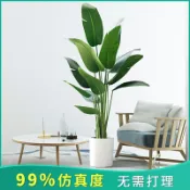 協貿國際日用品生活7館 仿真植物旅人蕉北歐風綠植家居大型盆栽擺件客廳室內落地裝飾盆景