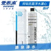 康泉淨水 ◤免運費◢Everpure 台灣愛惠浦公司貨 濾心 QL3-BH2【大水量抑菌除垢型】3,000加侖(11,355公升)咖啡機 熱飲機適用 有雷射標籤