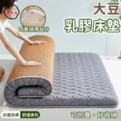 築夢居 可開發票 免運 【大豆乳膠床墊 宅配免運】雙面床墊 加大床墊 地鋪睡墊 雙人床墊 宿捨床墊 藤席床墊 折疊床墊 單人床墊 兩用軟墊工廠現貨直銷 售後保障 6z13