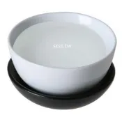 【順億化工】美國 陶氏 1,2 丙二醇 PG USP級 100g【DDD】