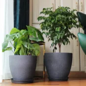 😇仿水泥盆😇復古做舊 仿陶瓷 粗陶 花盆 加厚樹脂 仿石材 雞蛋磨砂盆 盆栽 盆子 花器 仿真水泥盆 塑膠材質
