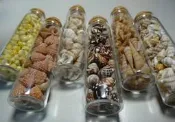 【阿草雜貨舖】-＊小貝殼6種-直瓶裝＊- 產地：菲律賓