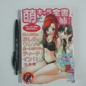 尚品二手書a21:萌キャラ全書姉MIX 新視界C199 限制級漫畫