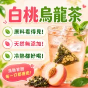 【台灣現貨】白桃烏龍茶🍑水果茶 冷泡茶包 果乾水 蜜桃烏龍 烏龍茶 白桃 喝水茶包 茶葉 無糖 果茶 清涼清爽 解膩