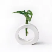 (預購) 純灰系列 | 窗孔龜背芋 室內水培植栽 圓圈水泥水耕花架