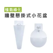 WENJIE【DA163】掛花盆 迷你花盆 牆壁懸掛式插花瓶 免釘無痕 插花瓶 懸掛花盆 掛壁盆栽