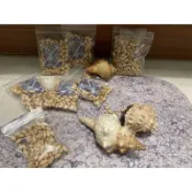 寄居蟹食物 寄居蟹零食 倉鼠零食 無調味爆米香 爆薏仁 爆小麥