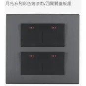 JYE 中一 (三晰電工) 經典烤漆 月光彩色烤漆款開關 插座 接地雙插座 工業風 M5455 四開關 4開關