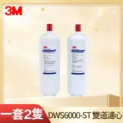 3M DWS6000-ST 雙道濾芯組 P-165BN＋DWS6000-C-CN 原廠正品 智慧雙效淨水器替換濾芯