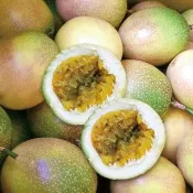 【十翼饌】選果 陳家南投大坪頂滿天星百香果10斤x1箱(吊網栽種)