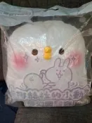 〔全新未使用〕卡娜赫拉的小動物 P助 絨毛暖腳套