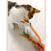 現貨 逗猫棒 逗猫玩具 貓薄荷 弹力球 羽毛逗猫棒 可伸缩逗猫棒 薄荷棒 貓玩具