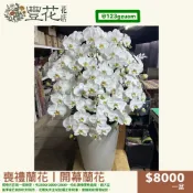 💫豐花花店 網路 花店 婚喪喜慶 喪禮 開幕 大型 蝴蝶蘭 蘭花 鮮花 告別式會場 雲林 台中 彰化 南投 殯儀館