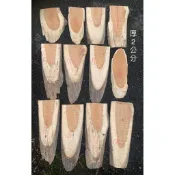 台灣櫸(紅雞油)木板/鹿角蕨,蘭類栽種上板/藝品盆景陶藝擺設底座//裝飾器材