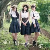 [全新現貨]french-kiss(AKB48)6th單曲【思い出せない花】初回盤TYPE-C