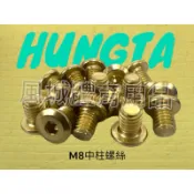 【風城體育用品】[8MM底座螺絲]直排輪 競速 平花 hungta 底座 seba 直排輪維修