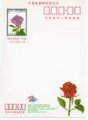 明信片- 空白明信片 88年 (2000台北郵展) 大輪種玫瑰