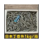 (店+)【伍參柒】537生鮮水產 日本丁香魚 1kg±10%x1盒 ( 尺寸6-8公分 鮮凍大丁香魚 丁香 生丁香魚)