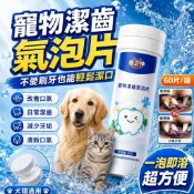 🔥免運🔥寵物潔齒氣泡片 貓狗通用可食用 寵物潔牙氣泡片 寵物潔牙泡騰片 狗狗口臭牙结石 貓咪狗狗漱口水 去除牙垢