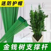 桃園出貨金錢樹支撐桿花卉植物園藝花架盆栽陽臺花盆支撐架爬藤架固定支架