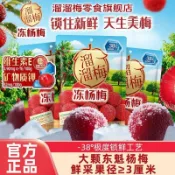 ✨新品特惠  【溜溜梅】凍楊梅100g東魁樹熟楊梅果脯梅子果乾酸甜解饞辦公室小零食