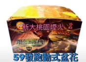 煙火 59發 銀河戰機 煙火 海洋音樂祭 比基尼 煙火節 告白 結婚 婚禮
