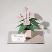 紙模型【紙植栽DIY材料包】火鶴花 紙風景 紙雕組合 組合DIY
