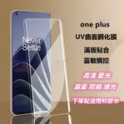 一加UV鋼化膜 適用oneplus ACE 3Pro 2Pro 1+13 1+12 1+11 10Pro 高清藍光防窺