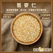 精選蕎麥仁 100克試吃包~寵物鼠/蜜袋鼯/鸚鵡皆可食用 鸚鵡飼料 鸚鵡零食 鳥零食 鳥飼料