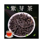 (店+)【本草養生】紫芽茶｜一袋10入 x 多包優惠｜臺茶25號｜豐富營養素｜ 咖啡因含量較低