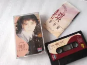 辛曉琪 / 在你背影守候