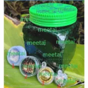 2564 帕阿贊歐 帕阿贊奧 翠綠人緣膏 穿越千年 鎖心 阿贊奧 阿贊歐 阿贊O AJ 阿贊毆 LP