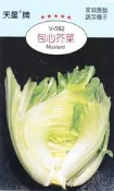 種子王國 包心芥菜 【蔬果種子】 天星牌 彩色包裝 原包裝種子 家庭園藝 小包裝種子