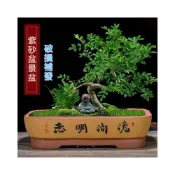 (店+)熱銷 宜興手工紫砂特大 長方形有孔 還魂草榕樹盆 景盆 無孔上 水石蓮花養魚