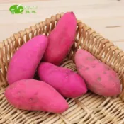 仿真水果模型 仿真蔬菜 假水果 模擬番薯紅番薯紫薯地瓜泡沫模型高仿假蔬菜水果兒童玩具裝潢教具