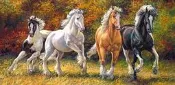 (藝) *非現貨 預購商品* 波蘭原裝進口 Castorland 4000片拼圖 馬 天生跑者 400119