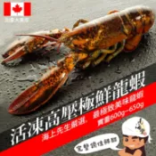 南海豐【活凍高壓極鮮龍蝦】600~650g/尾/活凍鮮甜蝦敖肥海鮮美食/一袋女王節目推薦/頂級海鮮團購宅配