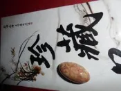 菊花玉 戒面  美石 東海岸玉石 花東玉石