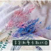 乾燥花材 漸層卡斯比亞/勿忘我/捧花花材/胸花素材/鄉村風花藝/新娘捧花/婚禮小物材料/乾燥花/永生卡斯比亞