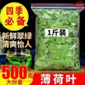 🔥百草坊【臺灣出貨】薄荷葉茶正宗薄荷葉泡茶幹薄荷茶薄荷葉新鮮食用薄荷散裝曬乾薄荷