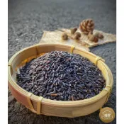 黑糯糙米 臺灣黑糯米 紫米 黑糯米 糯性 米 食用米 一斤 600公克 契作米 真空包裝《穗豐米行》