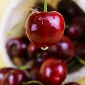 (店+)【果之家】空運嚴選紅寶石華盛頓櫻桃