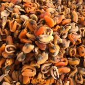 【熱銷無添加】野生淡菜海虹干250g500g 海鮮干貨干 殼菜干新貨干貨批發包郵乾貨批發 鰻魚 乾貝 海參 牡蠣乾 蝦乾