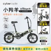 CyberCycle 賽博旋風 Antelope 36V 小羚羊 - 多功能親子電輔車(親子車 小徑車 電動輔助自行車)